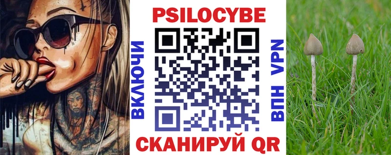 omg маркетплейс  Лукоянов  Псилоцибиновые грибы мухоморы  продажа наркотиков 